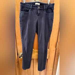 COLD WATER CREEK NAVY MODERN FIT PANTS SIZE P6